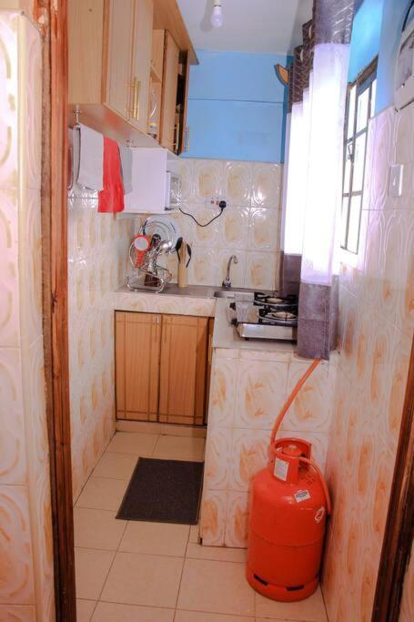 Cozy Homes 1 Bedroom House With Wi-Fi King Size Bed. Free Parking 나이바샤 외부 사진